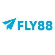 fly881cocom