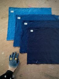 bluehandwhiterice